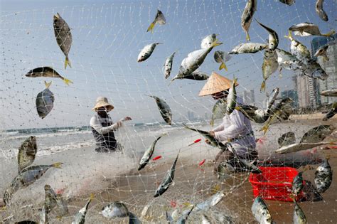 ghost fishing|How smart tech can help with overfishing and sustainability.